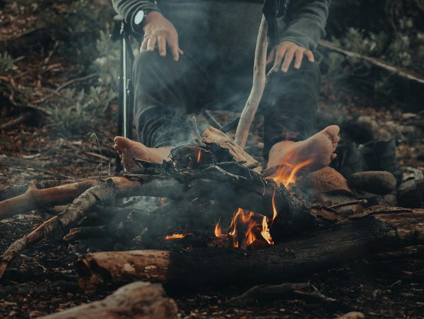 Explore the Art of British Wallpaper: A Guide to Immersive Workshops for Curious Travelers