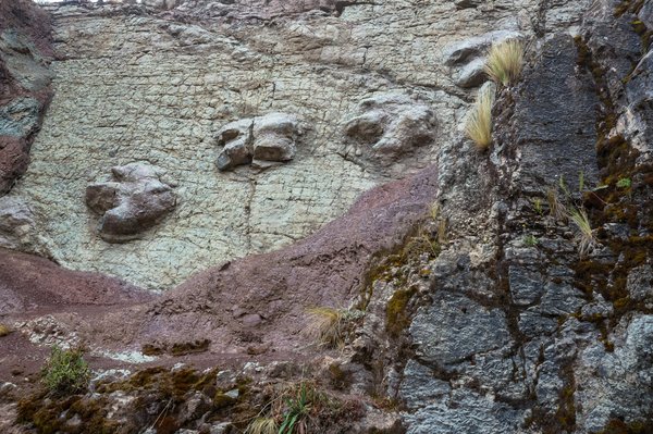 What are the top-rated guided tours of the Jurassic Coast?