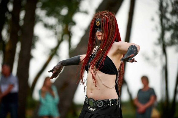 Which UK national parks offer the best guided wildlife tours?